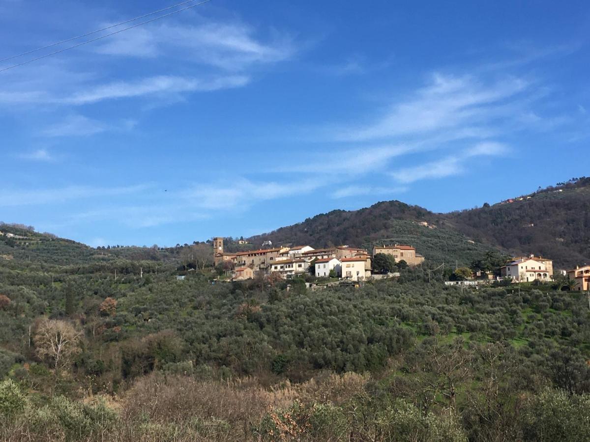Agriturismo La Casina Nel Vigneto Larciano Buitenkant foto