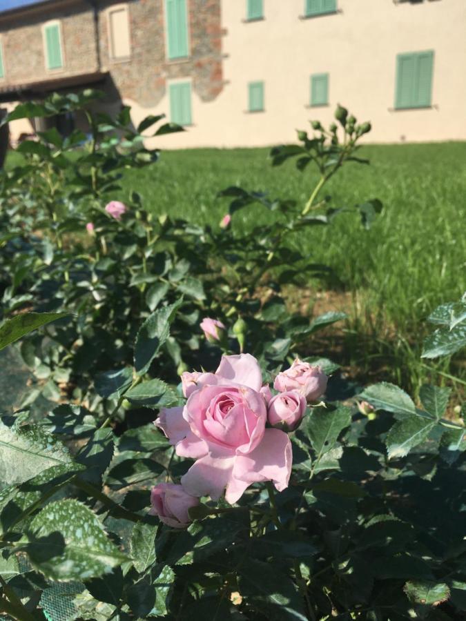 Agriturismo La Casina Nel Vigneto Larciano Buitenkant foto
