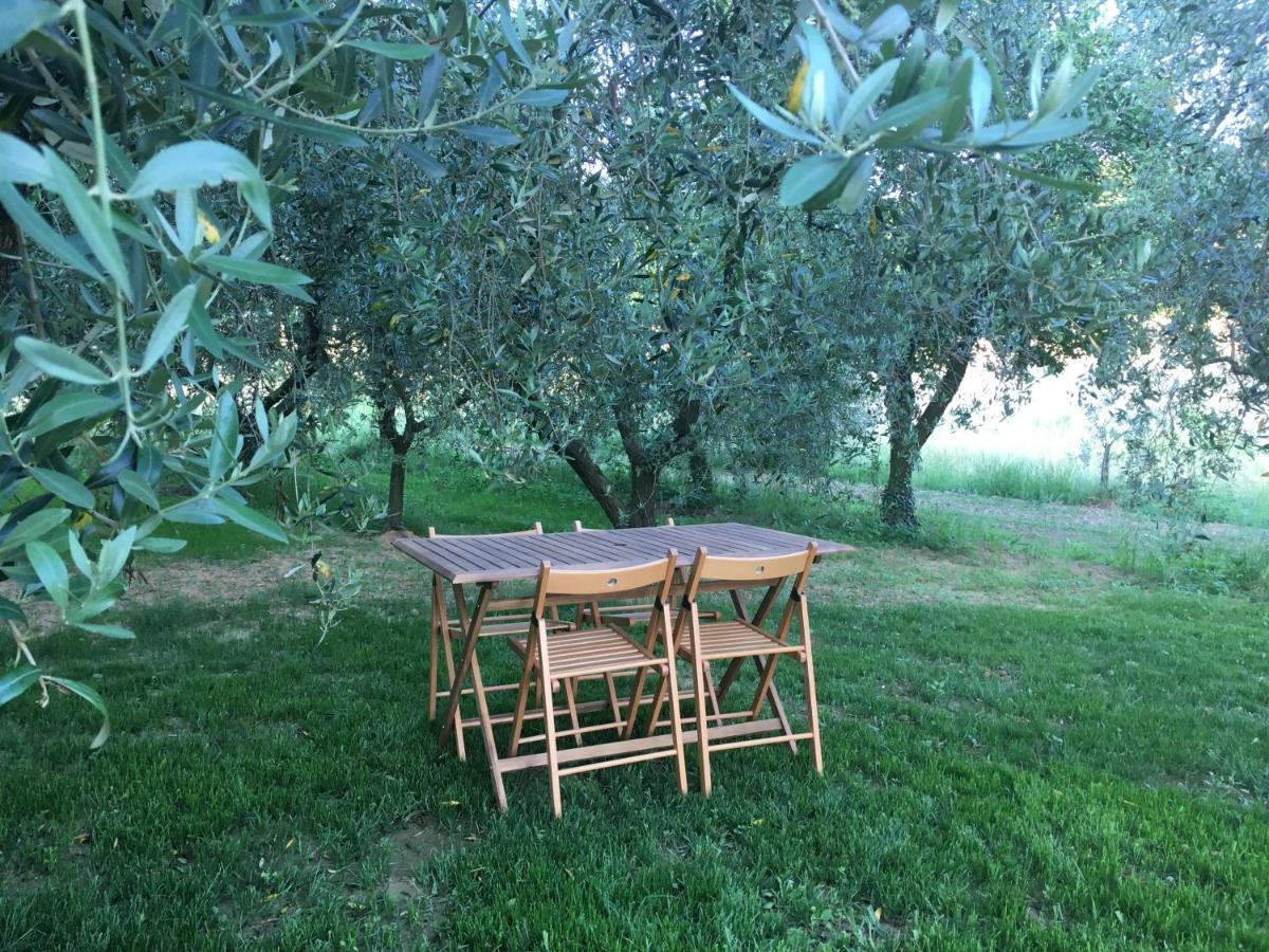Agriturismo La Casina Nel Vigneto Larciano Buitenkant foto