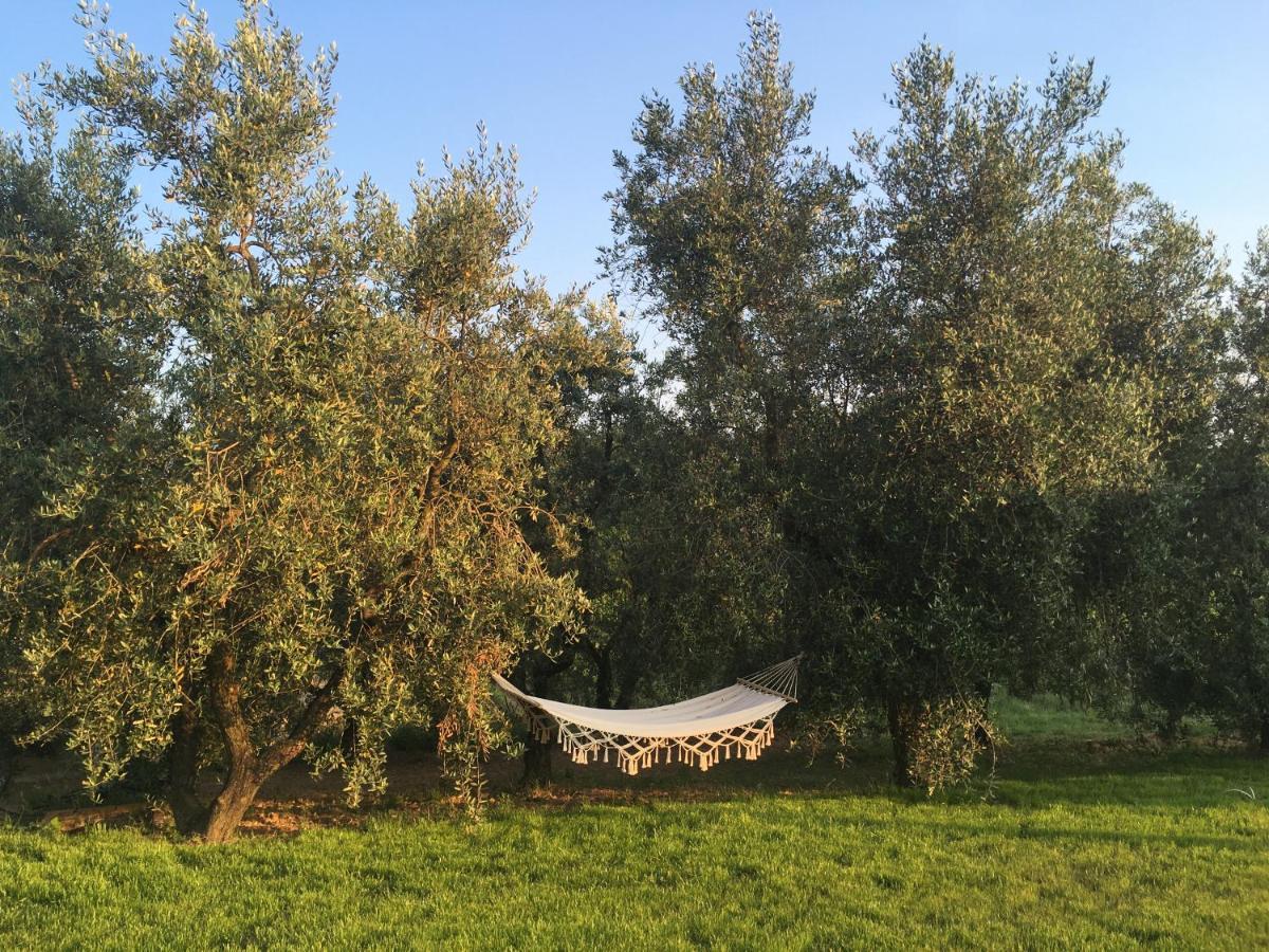 Agriturismo La Casina Nel Vigneto Larciano Buitenkant foto