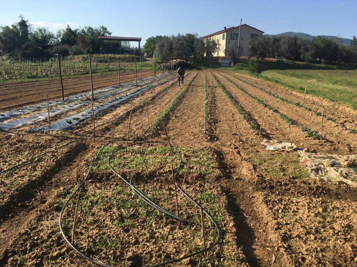 Agriturismo La Casina Nel Vigneto Larciano Buitenkant foto